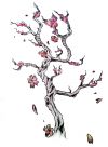 free cherry blossom tree tattoo